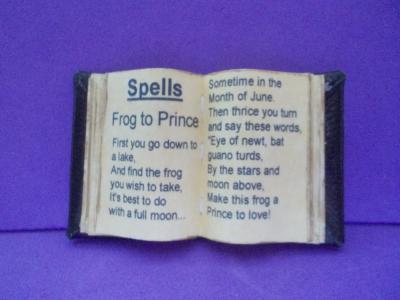 From Frog to Prince Handmade Book