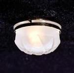 Ceiling Lamp W/remov Frosted Shade