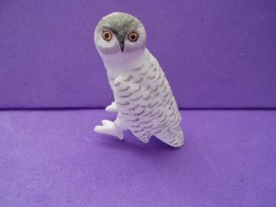 Owl White