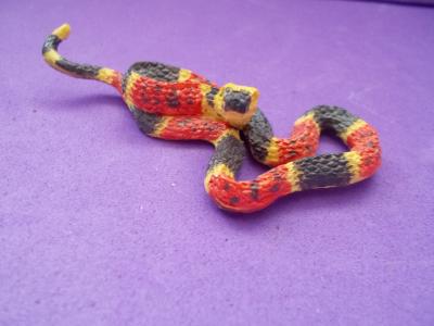 Eastern Coral Snake Large Yw/Rd/Bk